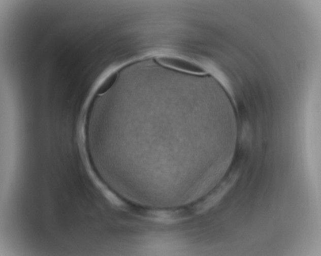 X0000113781005200910141034