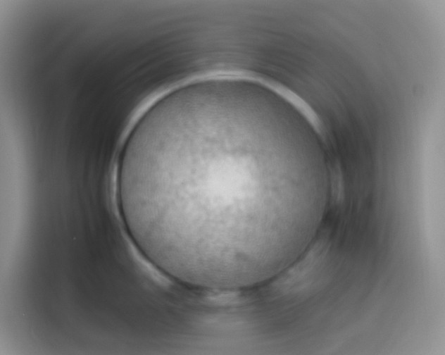 X0000113781006200910141034