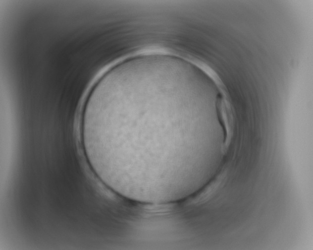 X0000113781008200910141034