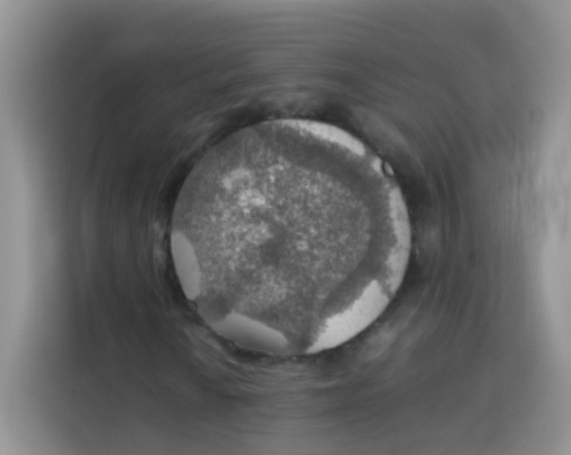 X0000113781010200910141034