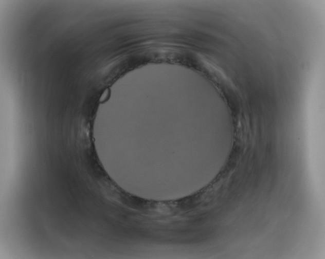 X0000113781013200910141034