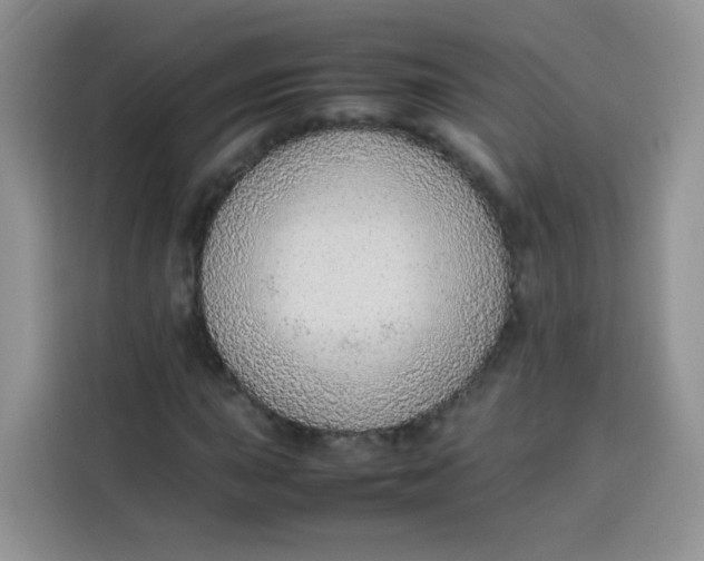 X0000113781015200910141034