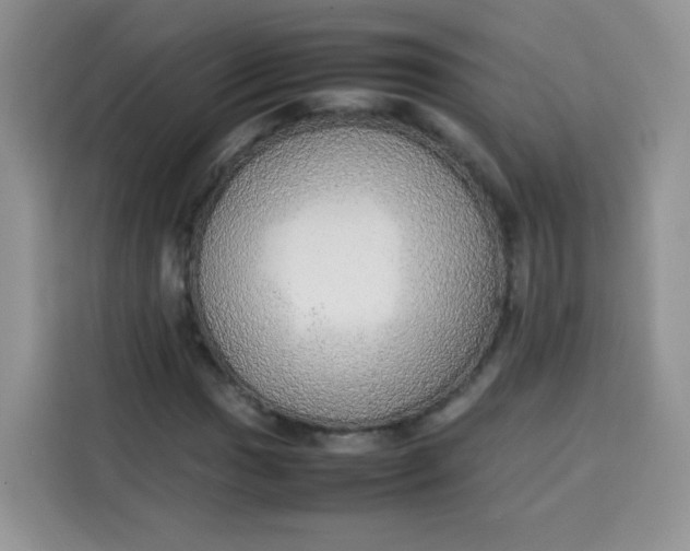 X0000113781017200910141034