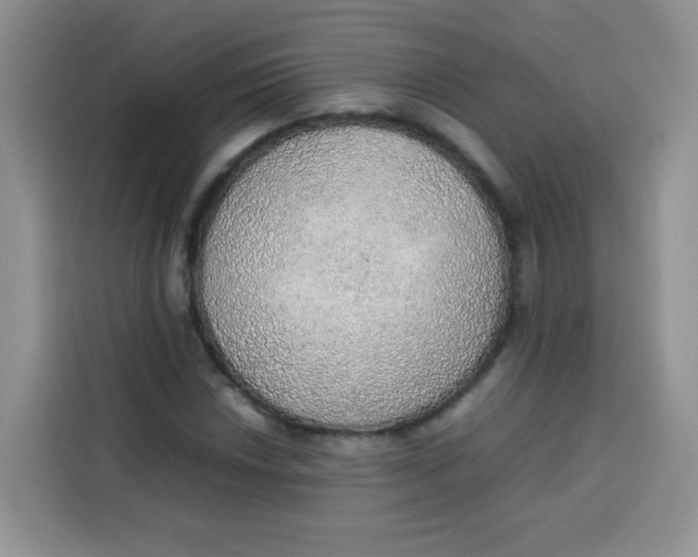 X0000113781018200910141034