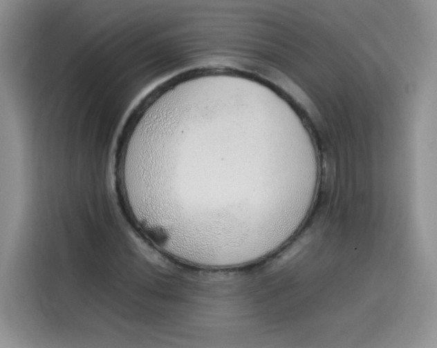 X0000113781020200910141034