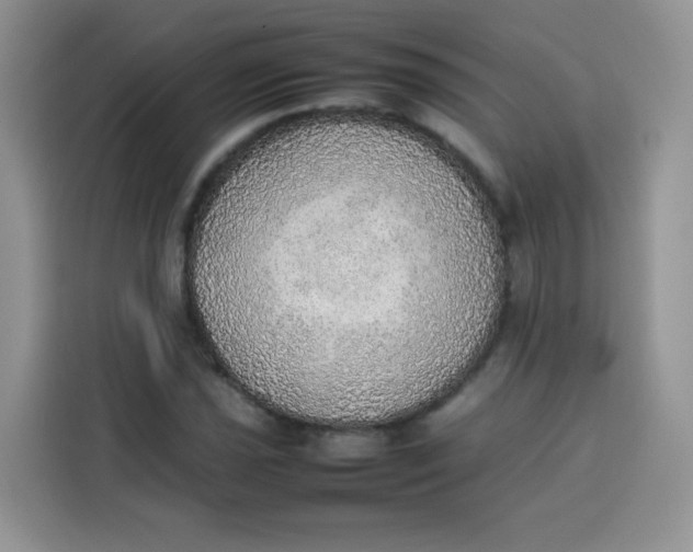 X0000113781021200910141034