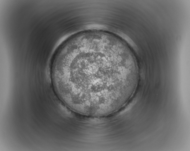 X0000113781022200910141034