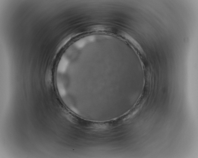 X0000113781023200910141034