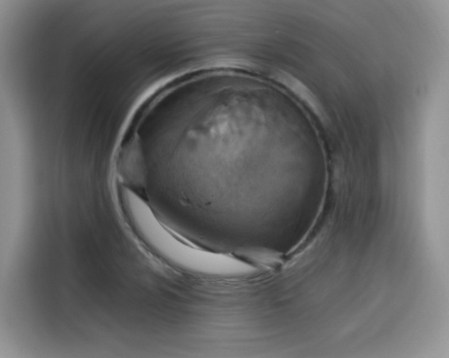 X0000113781024200910141034