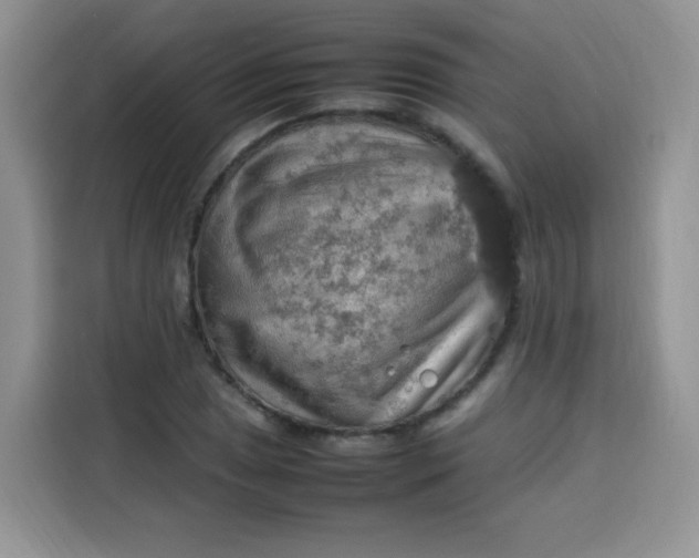 X0000113781025200910141034