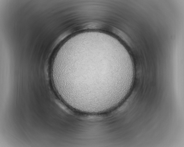 X0000113781026200910141034