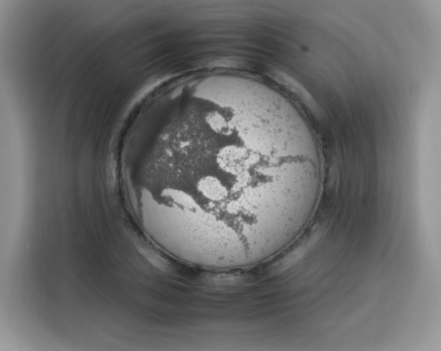 X0000113781027200910141034