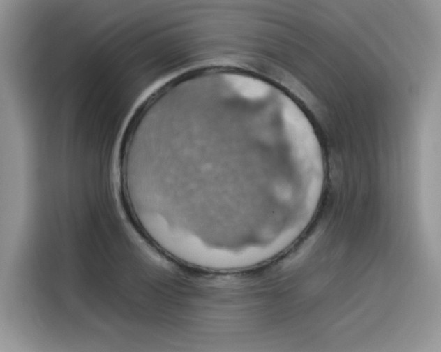 X0000113781028200910141034