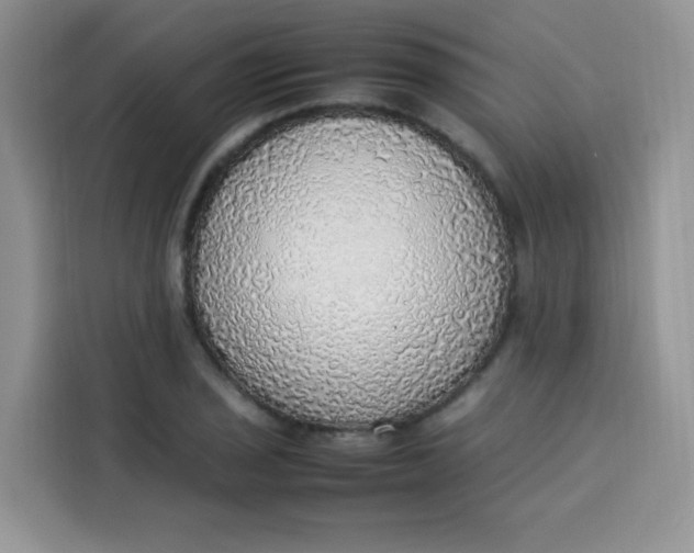 X0000113781029200910141034