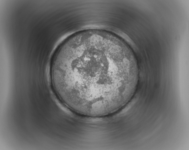 X0000113781030200910141034