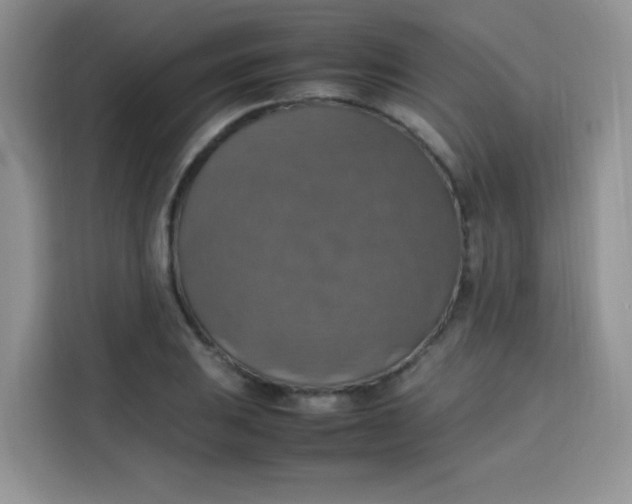 X0000113781031200910141034