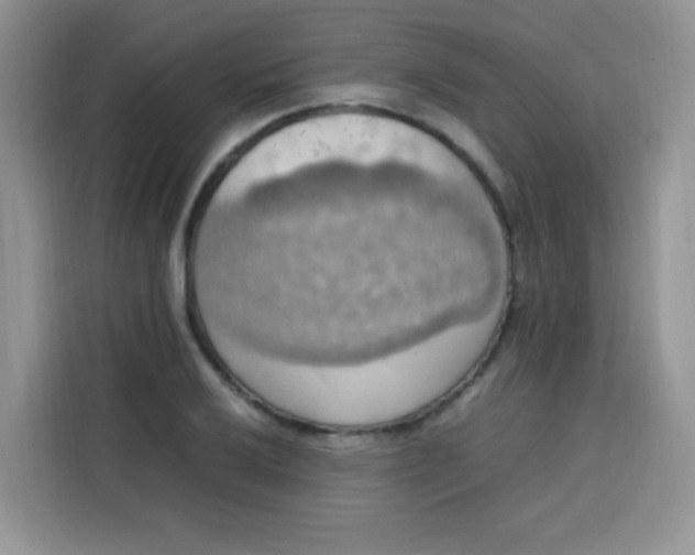 X0000113781032200910141034