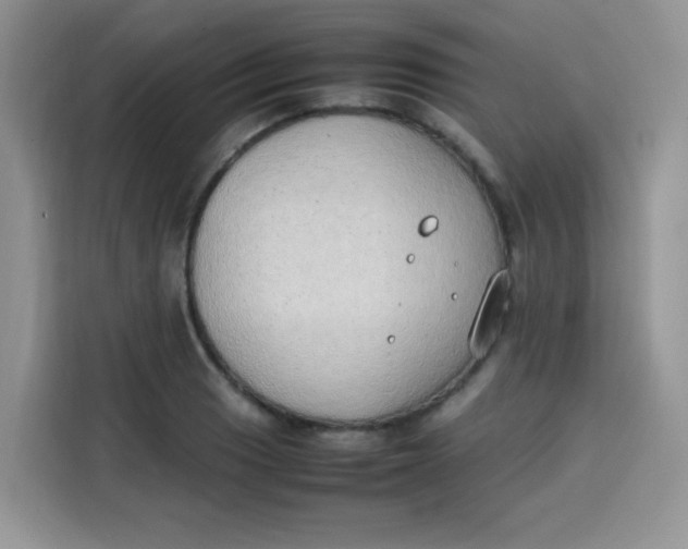 X0000113781033200910141034