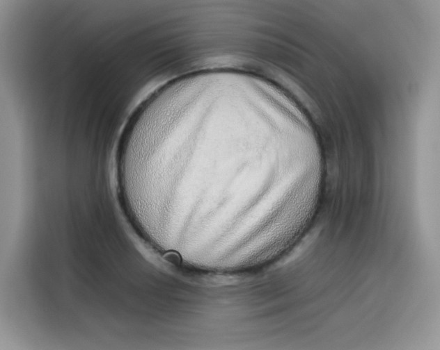 X0000113781034200910141034