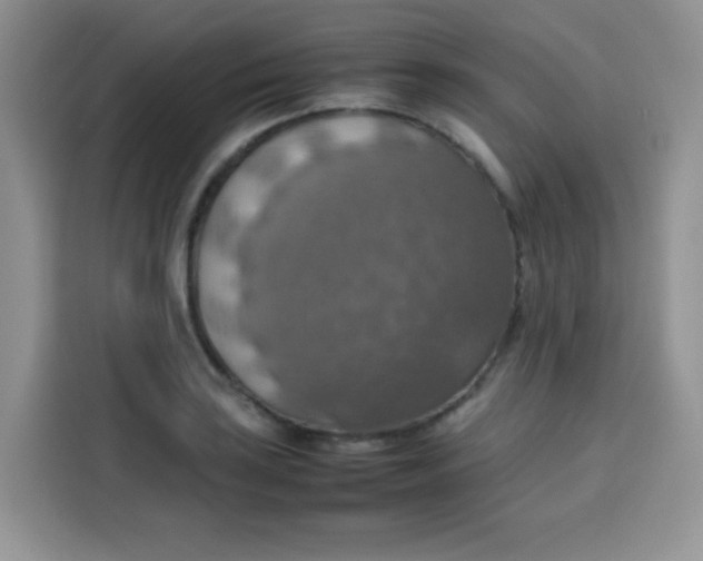 X0000113781035200910141034