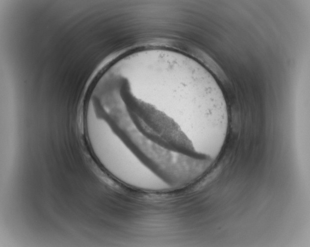 X0000113781036200910141034