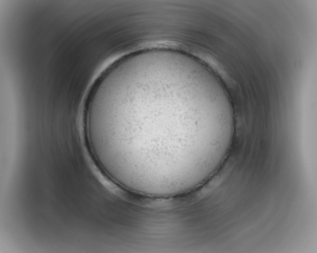 X0000113781038200910141034