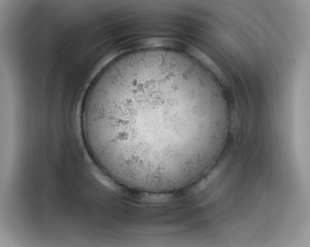 X0000113781039200910141034