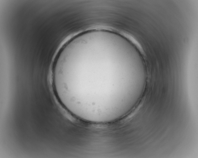 X0000113781040200910141034