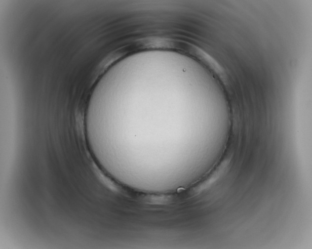 X0000113781041200910141034