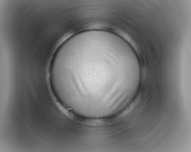 X0000113781042200910141034