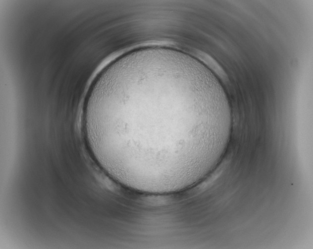 X0000113781044200910141034