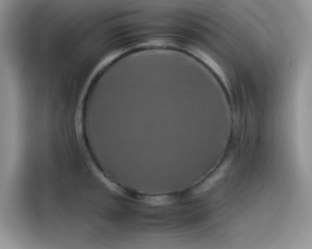 X0000113781045200910141034