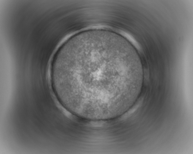 X0000113781046200910141034