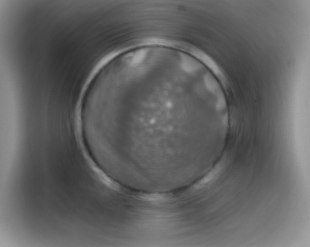 X0000113781048200910141034