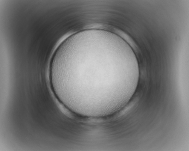 X0000113781050200910141034