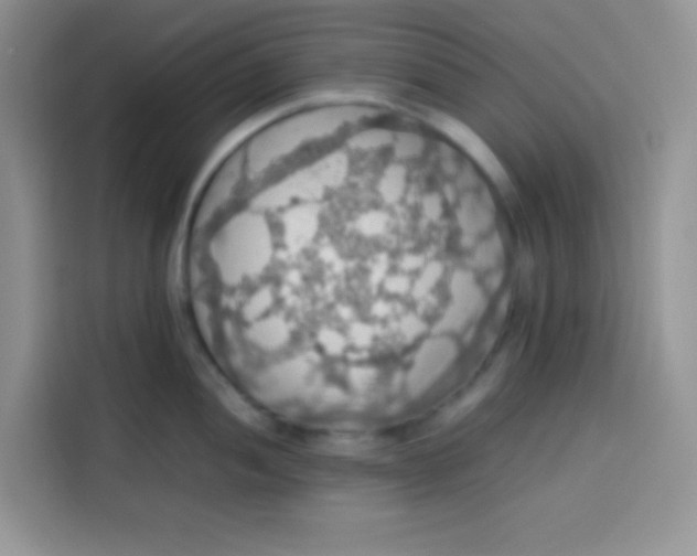 X0000113781052200910141034