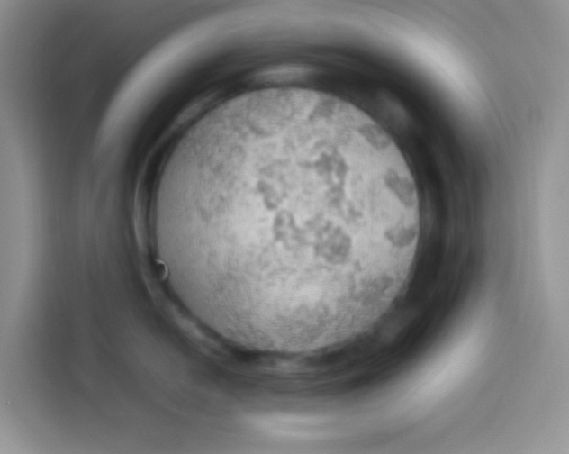 X0000113781054200910141034