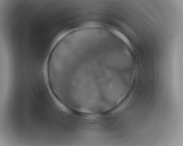 X0000113781055200910141034