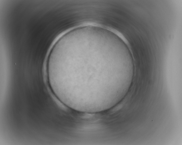 X0000113781056200910141034