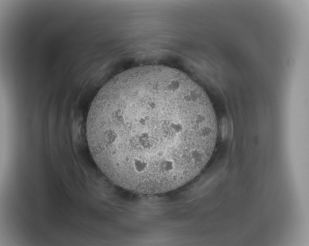 X0000113781059200910141034