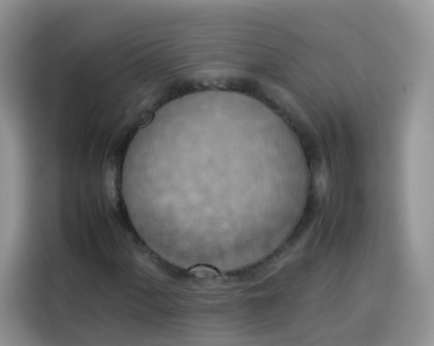 X0000113781060200910141034