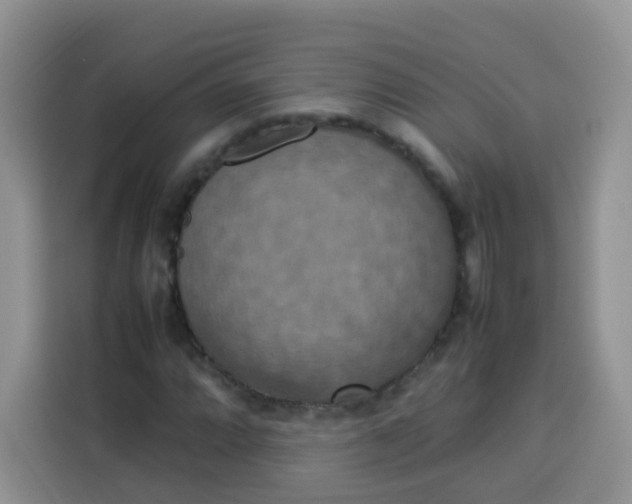 X0000113781064200910141034