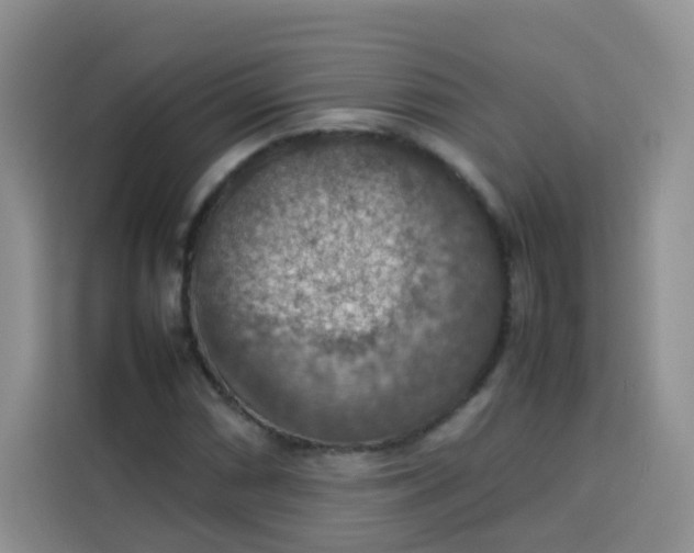 X0000113781066200910141034