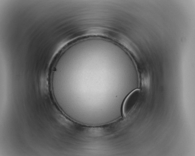 X0000113781068200910141034