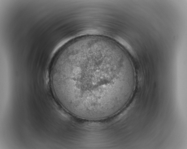 X0000113781070200910141034