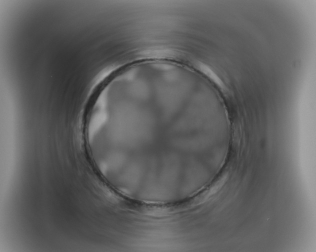 X0000113781071200910141034