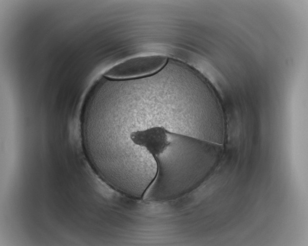 X0000113781072200910141034