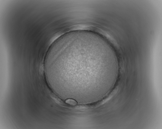 X0000113781073200910141034