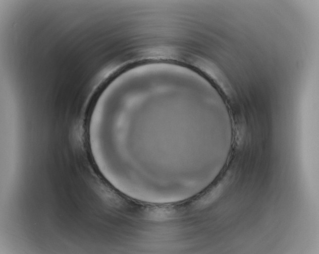 X0000113781074200910141034