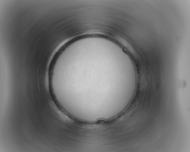 X0000113781076200910141034